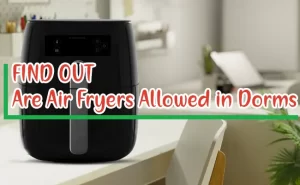 Are Air Fryers Allowed in Dorms? Things To Know