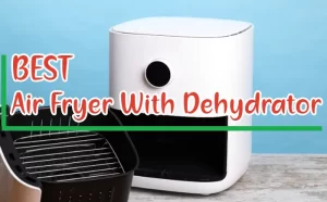 Best Air Fryer With Dehydrator Combo
