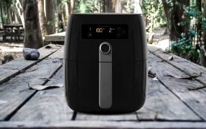Can I Use My Air Fryer Outside Outdoors Camping Park