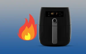 Can Air Fryer Catch Fire Or Explode