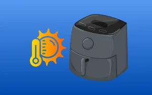 Can An Air Fryer Overheat And How To Prevent Air Fryer From Overheating