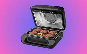 Best Air Fryer Grill Combo For Grilled Food Lovers